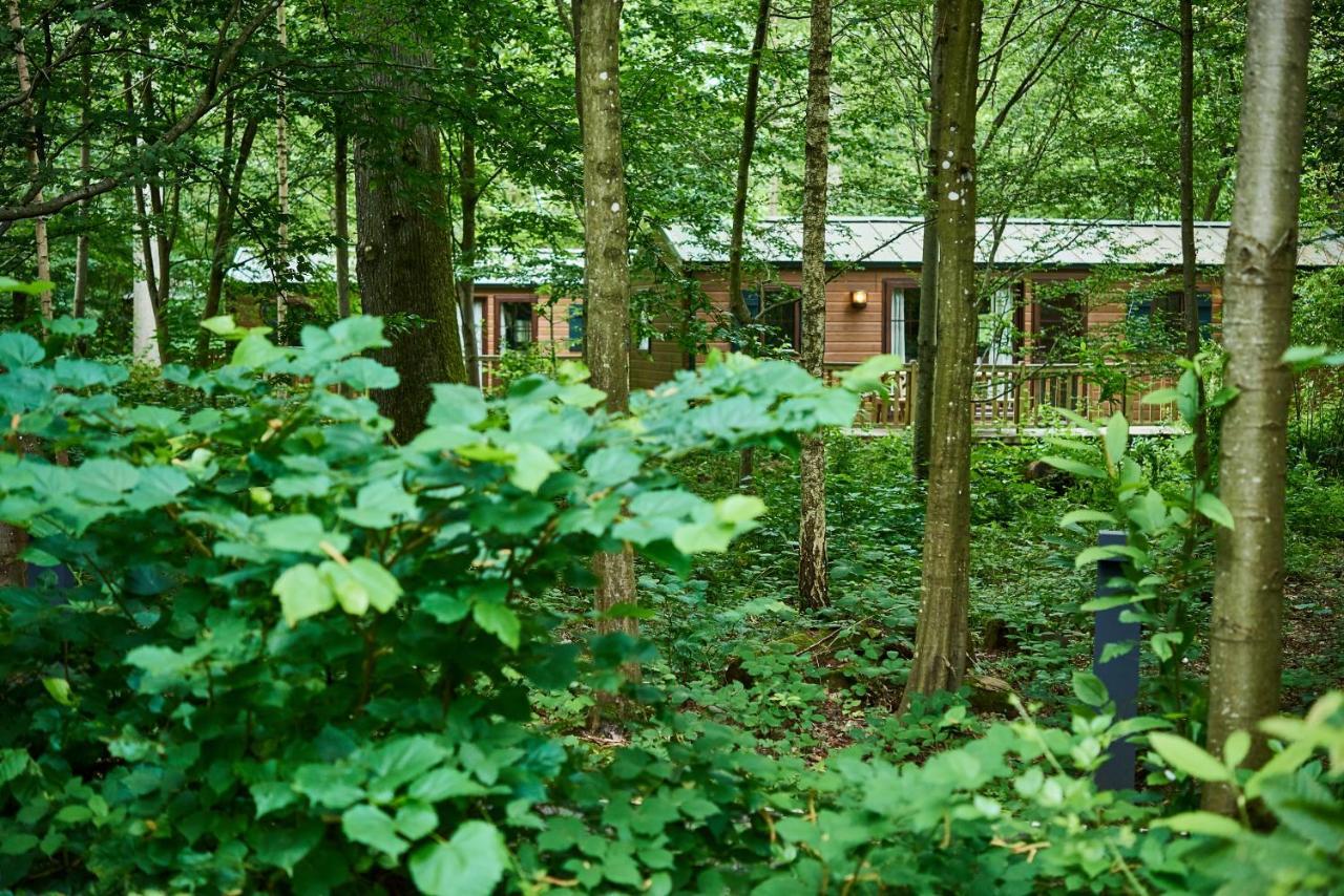 Disney Davy Crockett Ranch Villeneuve-le-Comte Exterior photo